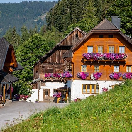 Bio-Bauernhof Grundlehnerhof Guest House Ramsau am Dachstein Luaran gambar
