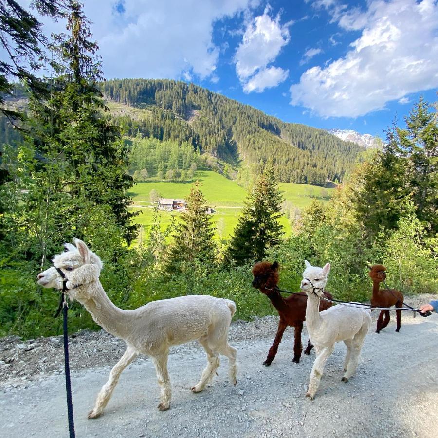 Bio-Bauernhof Grundlehnerhof Guest House Ramsau am Dachstein Luaran gambar