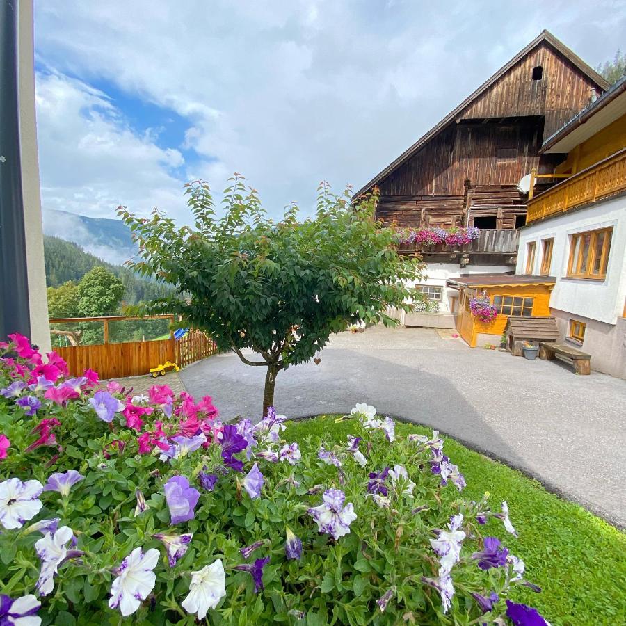 Bio-Bauernhof Grundlehnerhof Guest House Ramsau am Dachstein Luaran gambar